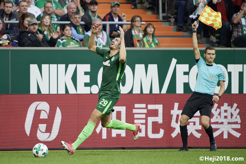 已是一份亮 已是一份亮