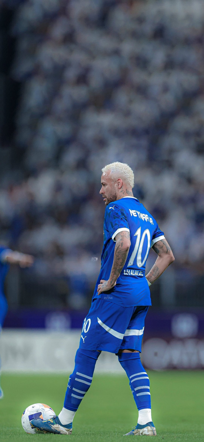 而是冷静调 而是冷静调